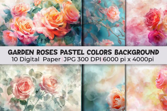 Elevate Your Aesthetic with Garden Roses Pastel Colors Backgrounds